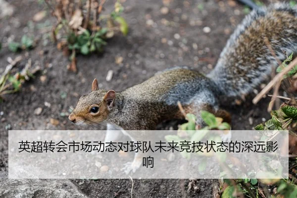 英超转会市场动态对球队未来竞技状态的深远影响